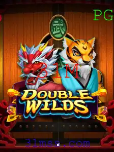 Explorando DoubleWilds: A Revolução no Mundo dos Jogos Eletrônicos